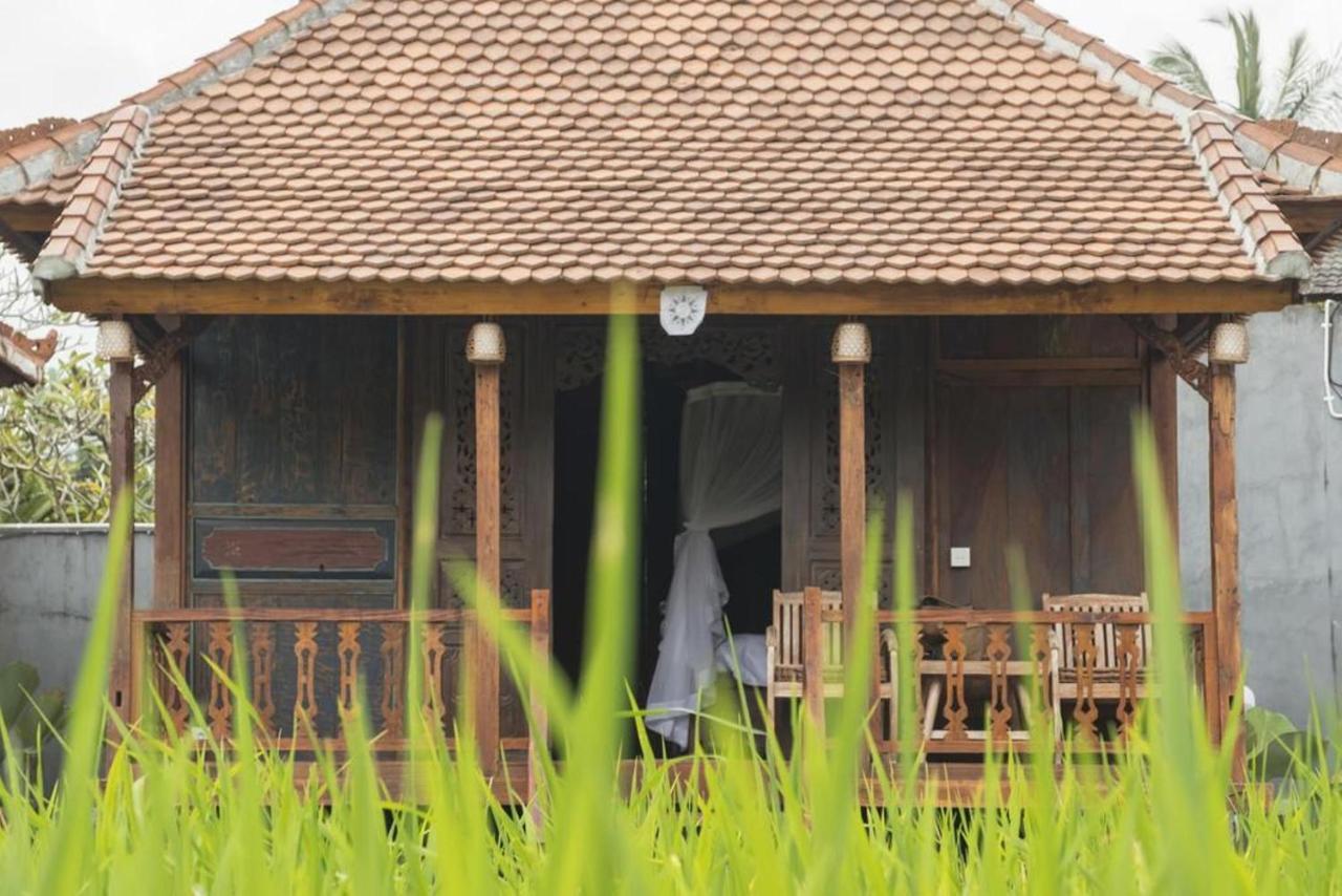 Hotel Kishi-Kishi Ubud Exterior foto