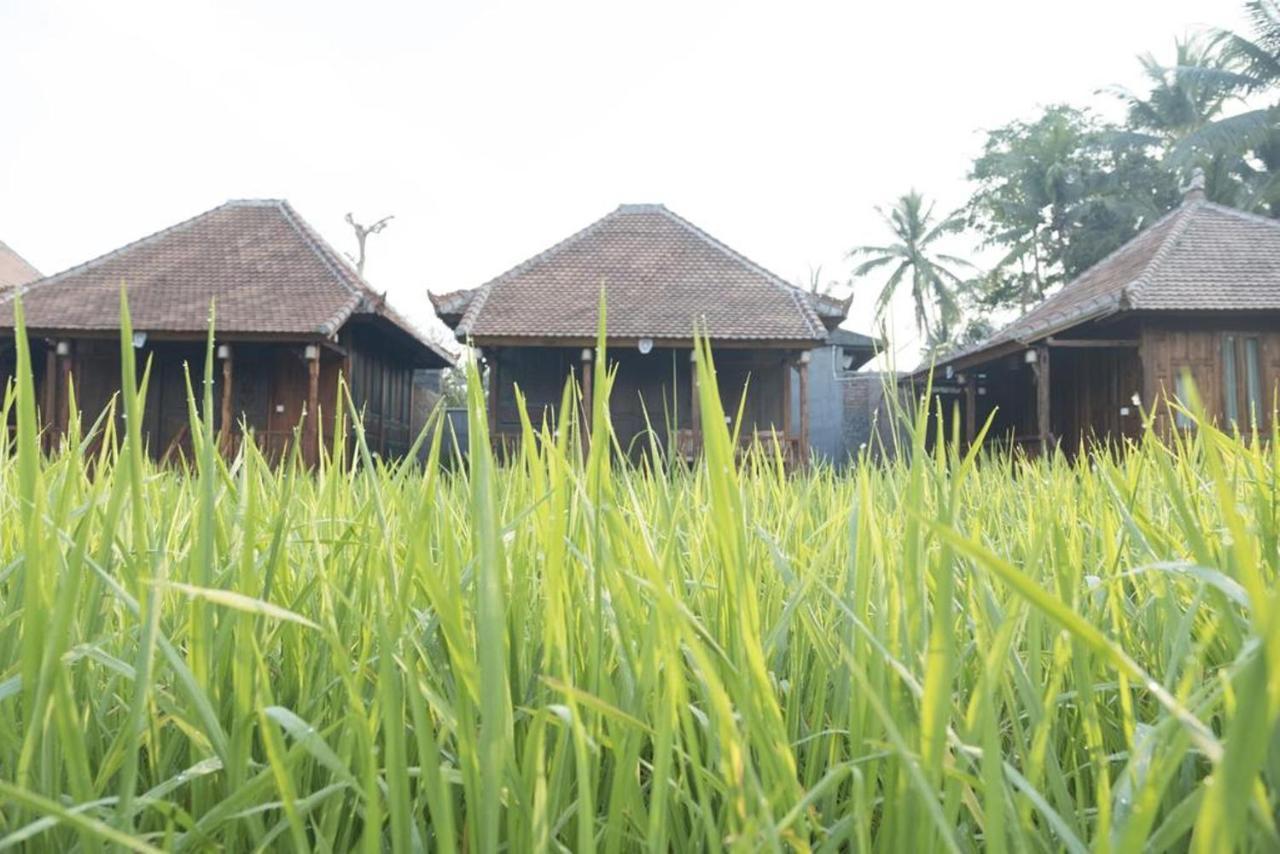 Hotel Kishi-Kishi Ubud Exterior foto