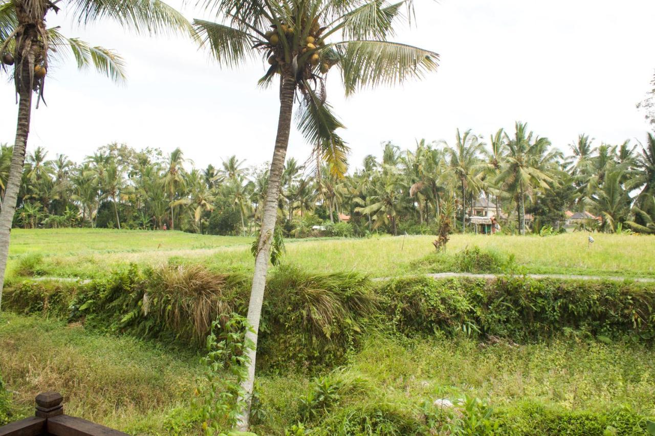 Hotel Kishi-Kishi Ubud Exterior foto