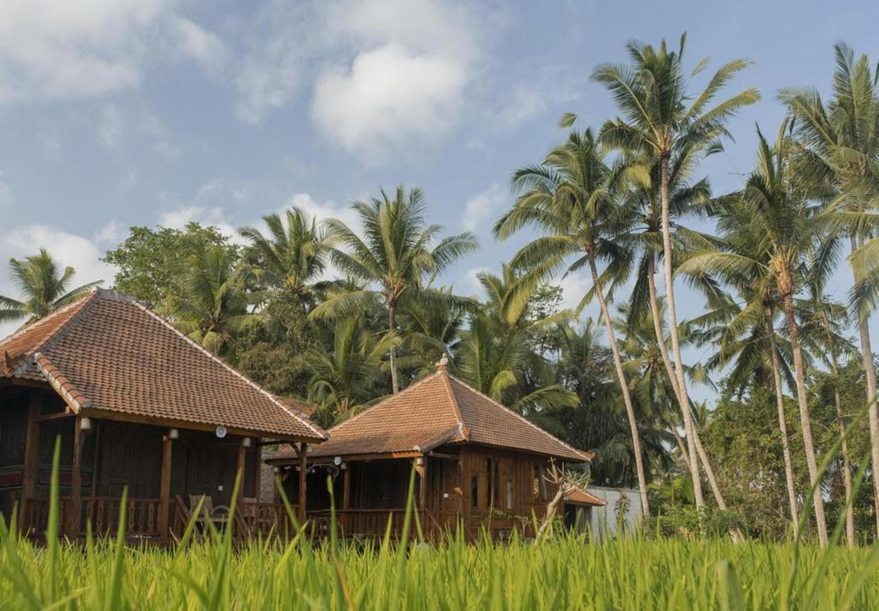 Hotel Kishi-Kishi Ubud Exterior foto