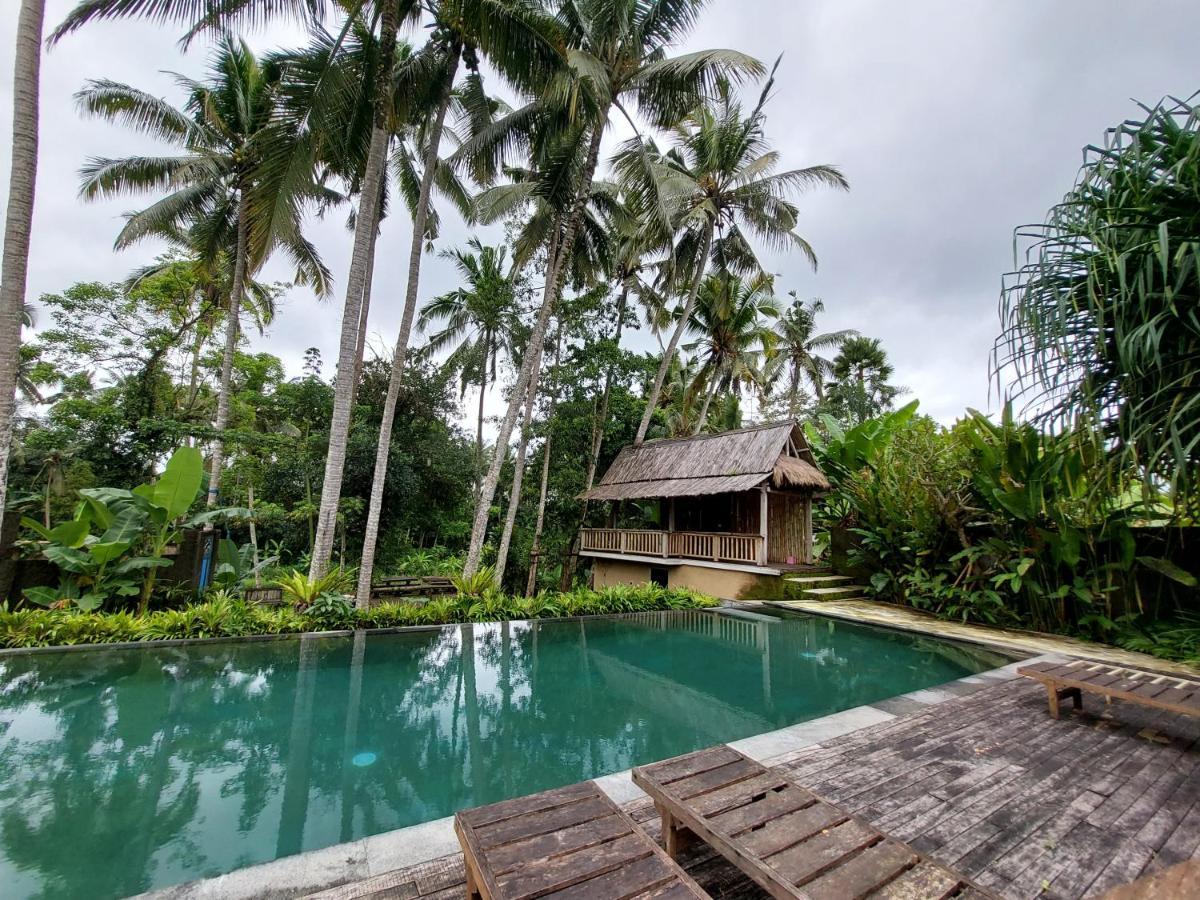 Hotel Kishi-Kishi Ubud Exterior foto